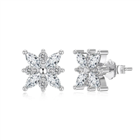 Orecchini Donna in Argento Cubic Zirconia EGAUR01